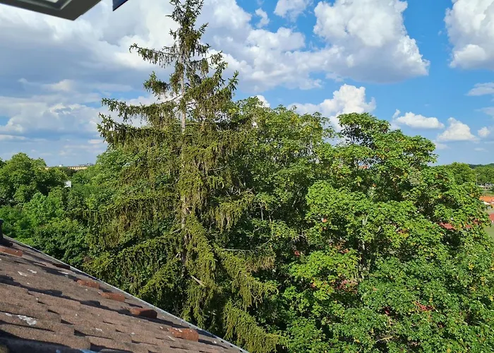 Gutenberg - Helle Und Geräumige In Uninähe