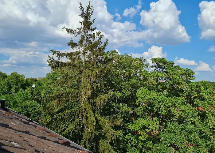 Gutenberg - Helle Und Geräumige In Uninähe Mainz