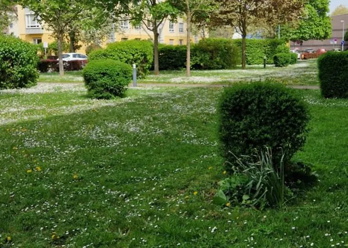 Gutenberg - Helle Und Geräumige In Uninähe Apartment Mainz