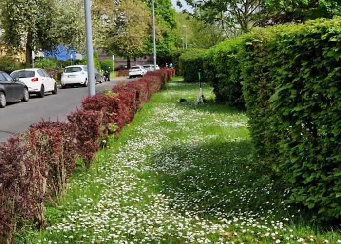 Gutenberg - Helle Und Geräumige In Uninähe Apartment